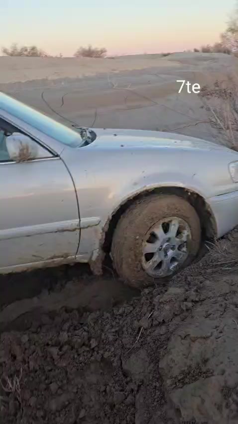 @قومندان(/شعیب/)