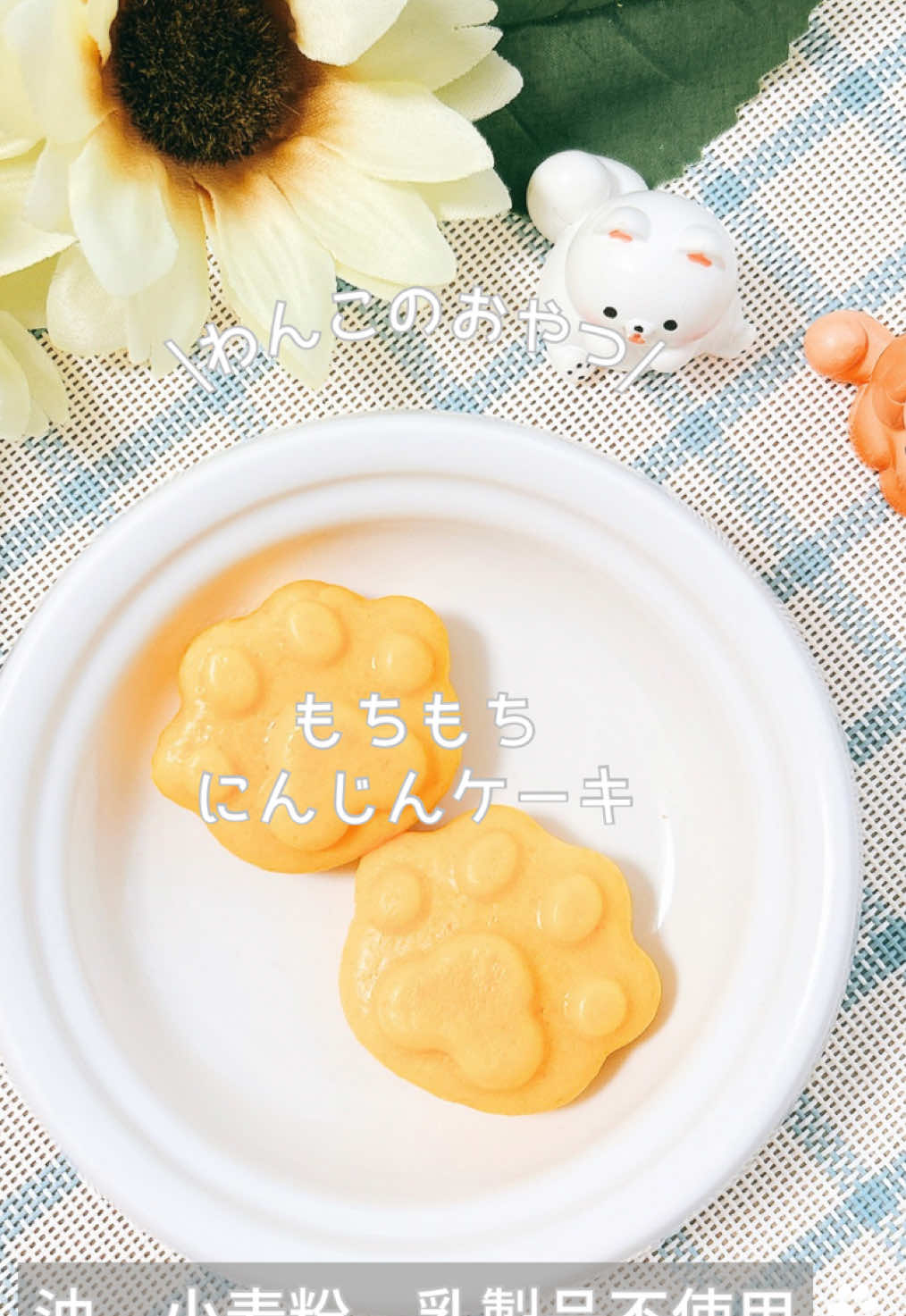 @ゆきえもん|手作り愛犬おやつ
