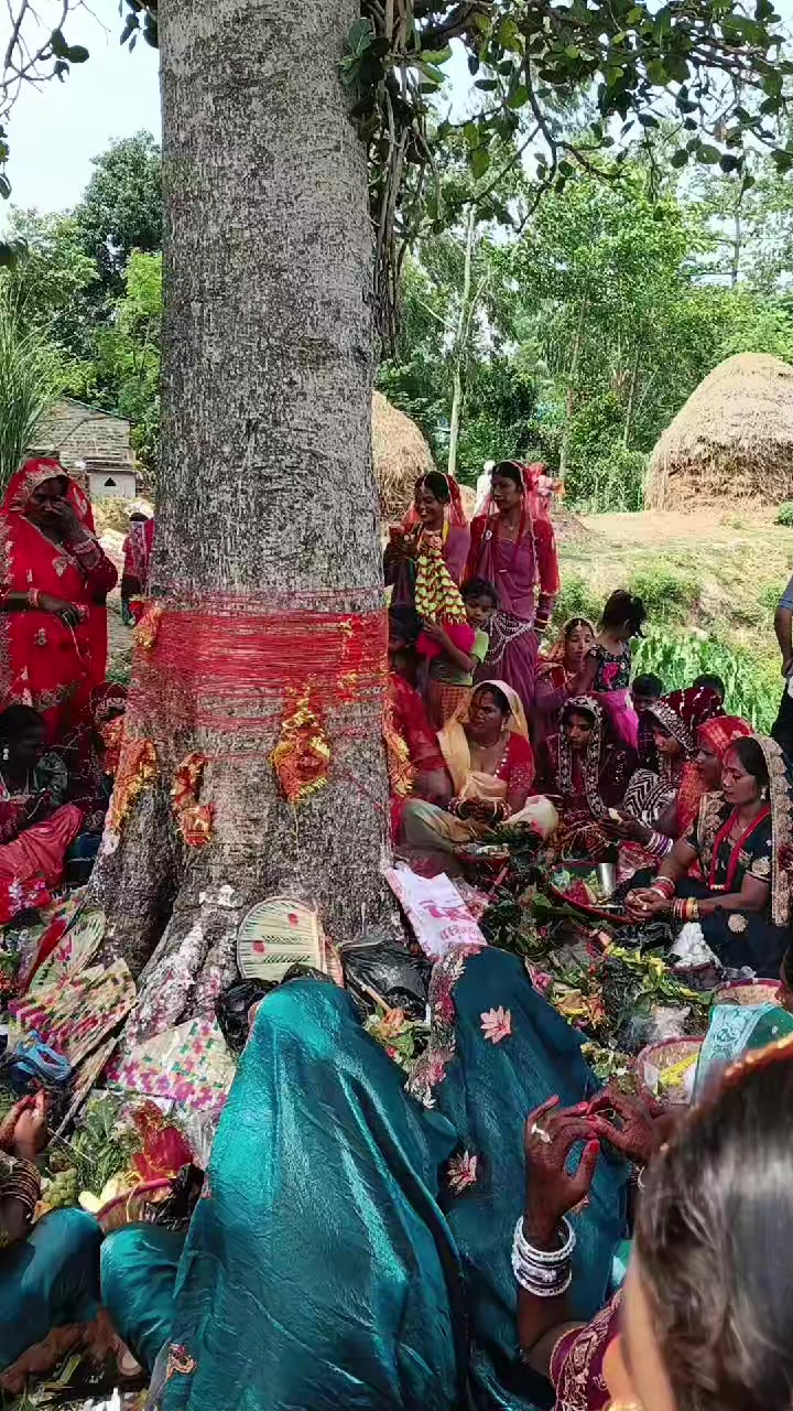 @chamar barand 123