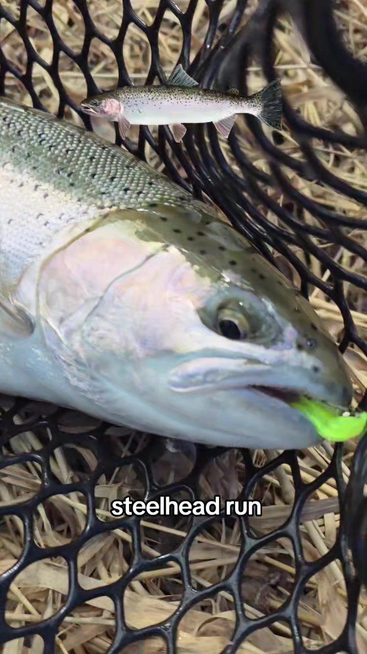 @FishingParadise