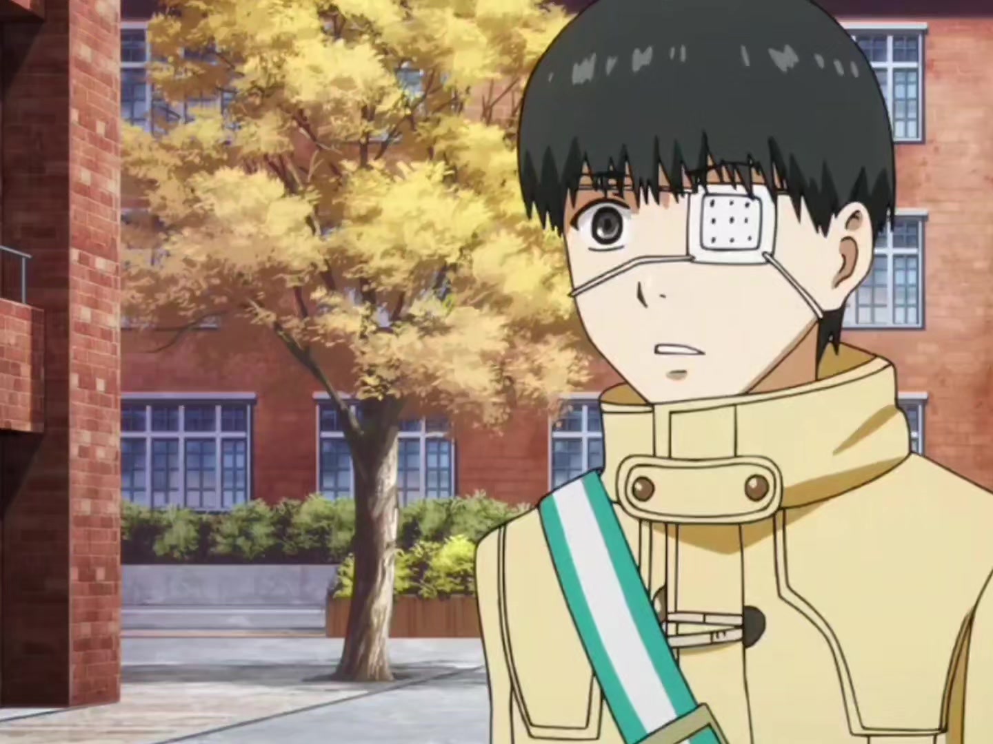 @toji fushiguro