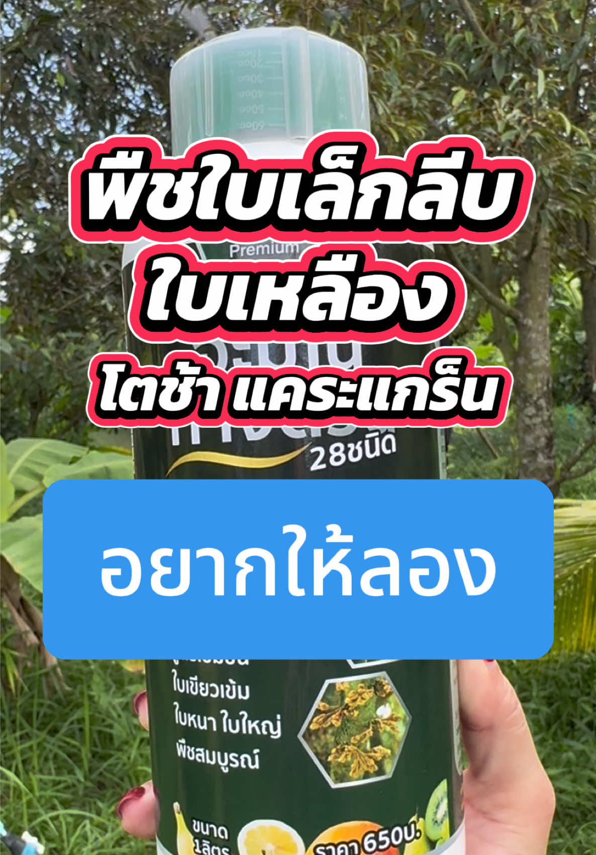@ชาวสวนที่ชอบขายของ