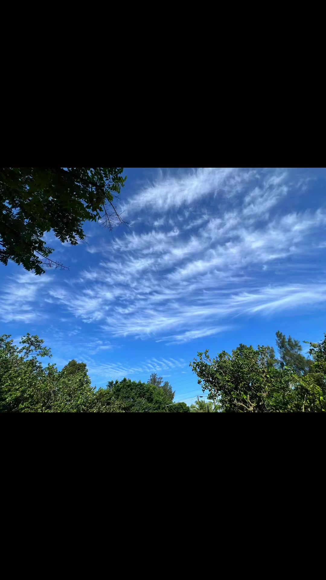 @天馬行空