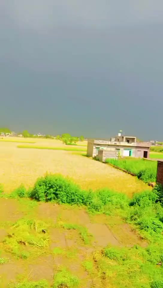 @asmamMehar1