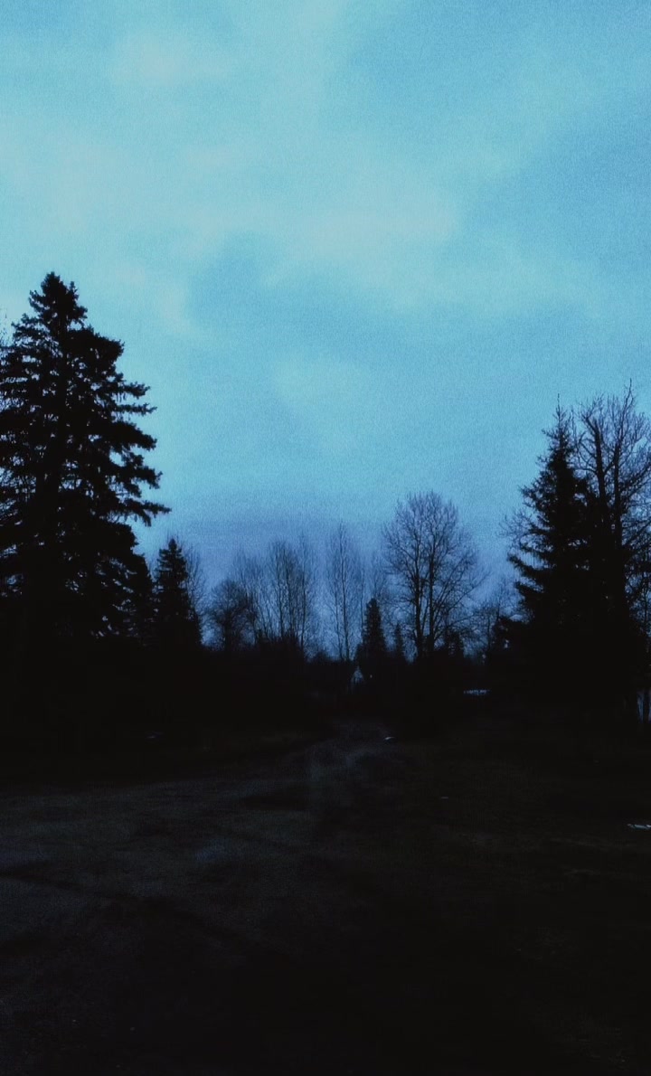 @Shotbycolinlab