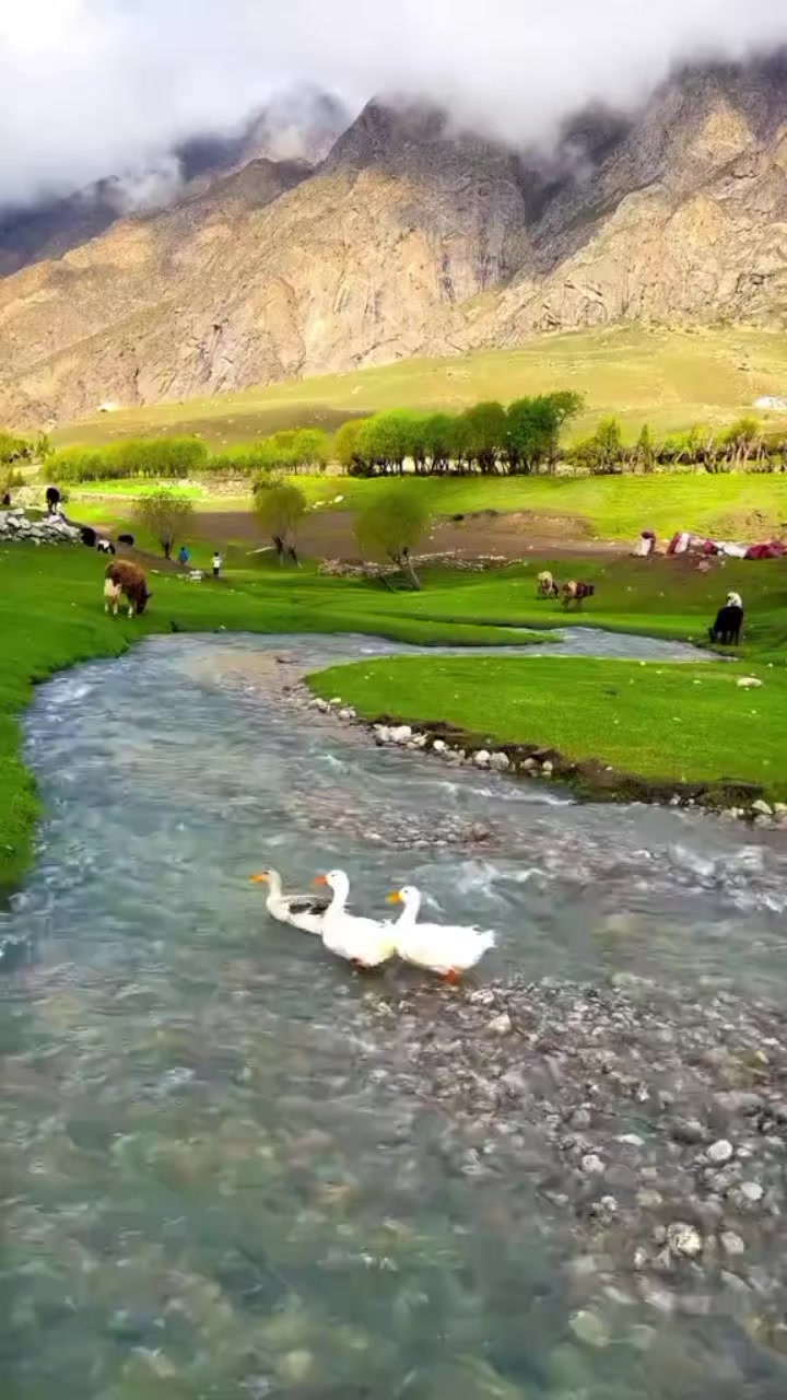 @Fahrıya_💥