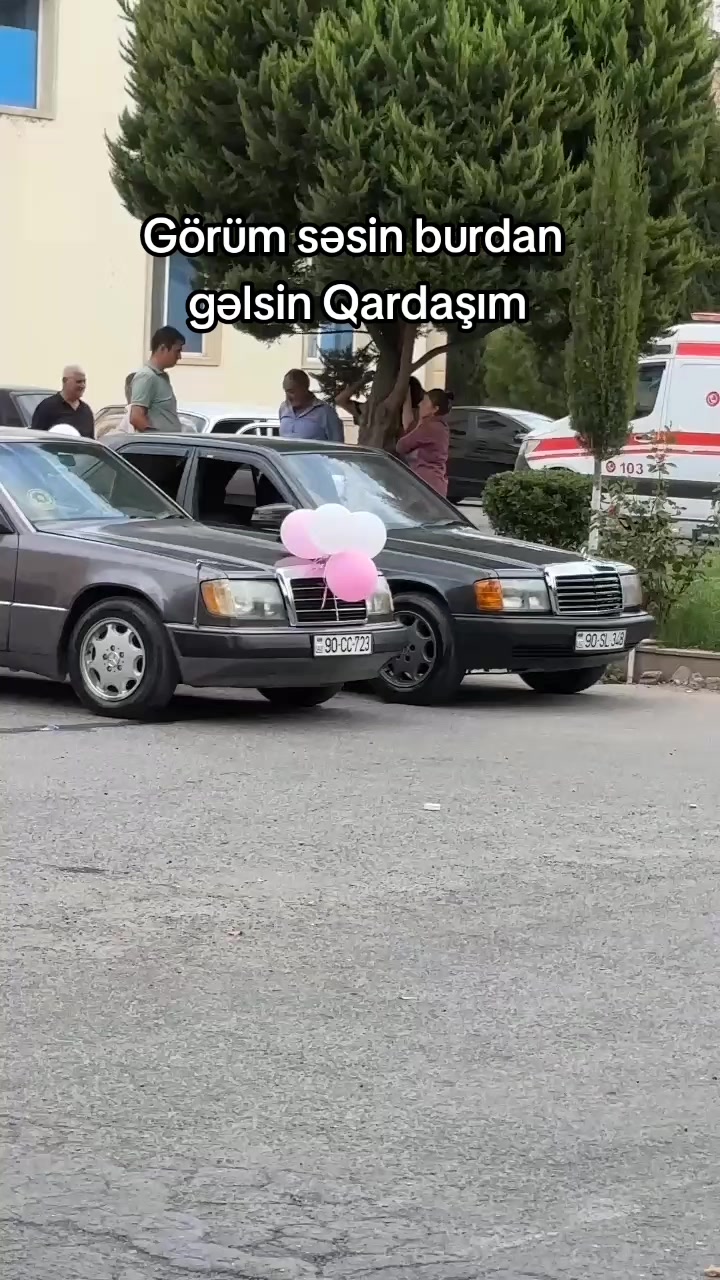 @🦅𝕀𝕓𝕣𝕒𝕙𝕚𝕞𝕠𝕧🦅 ༽