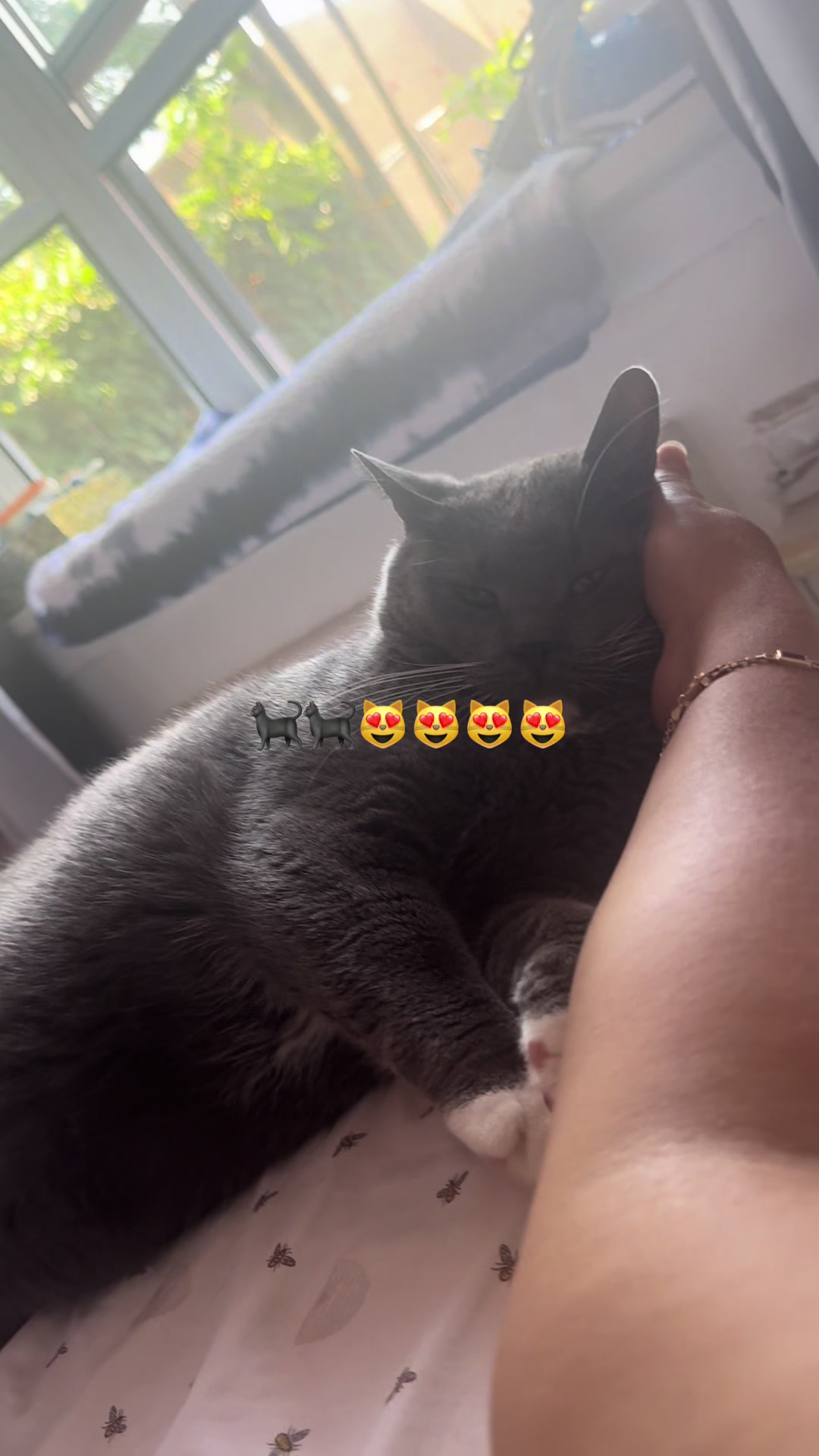 @🍀🧿NEGRA🧿🍀🖤