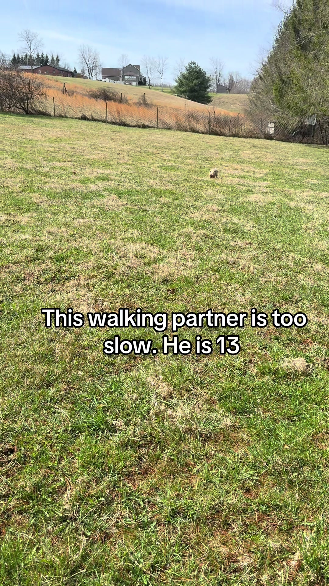 @Melissa