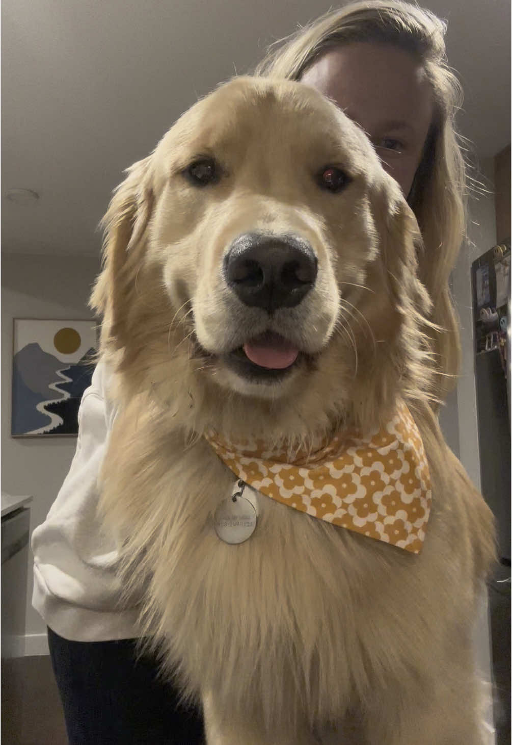@rigatoni_thegolden