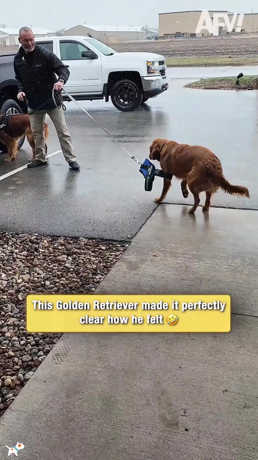 @SneakyFails