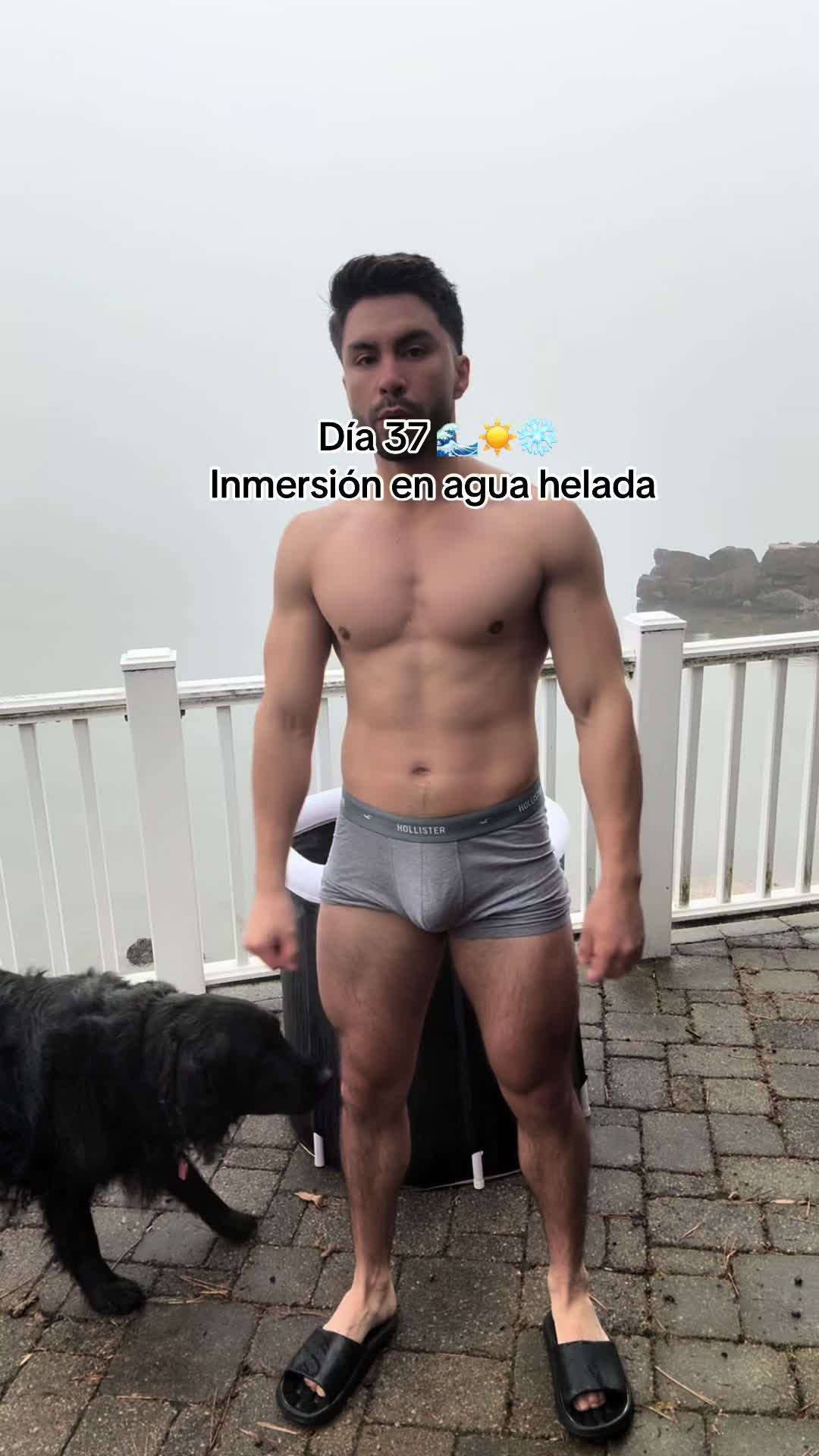 @Bryan Stalin Realpe