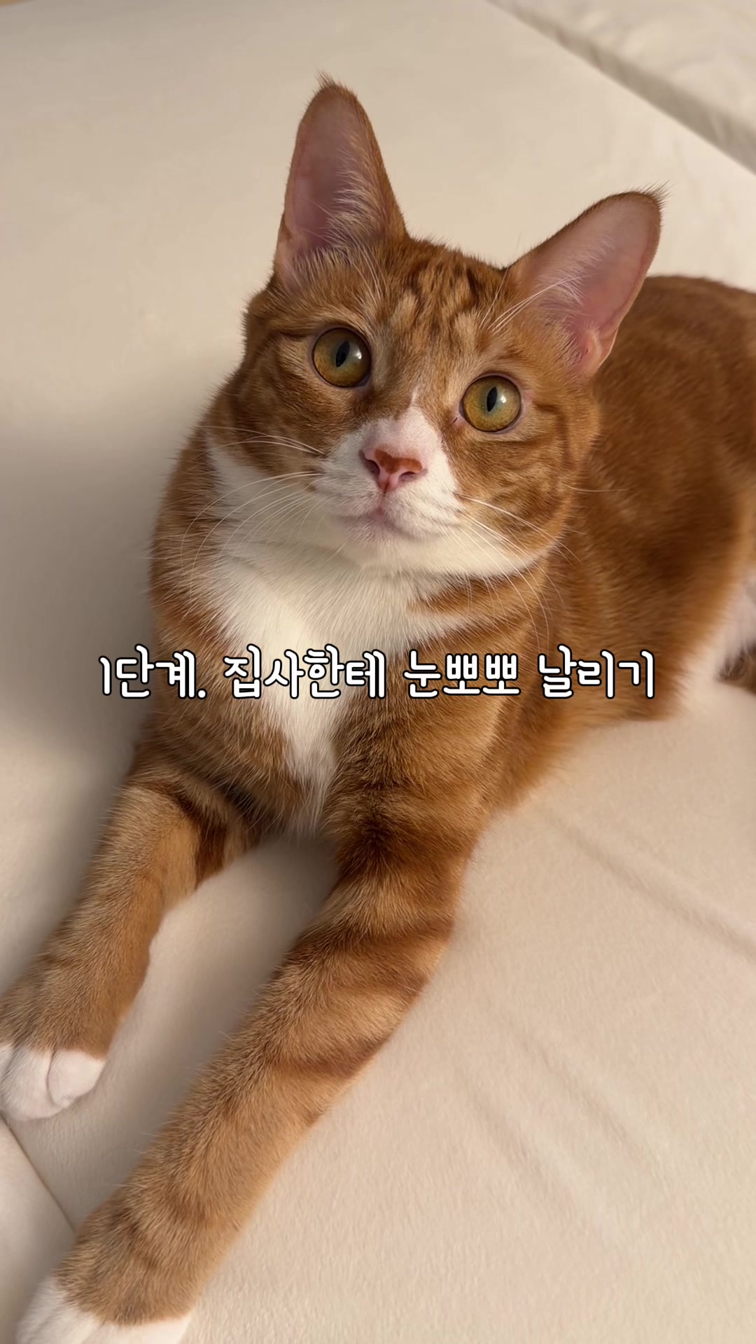 @뮤춘삼