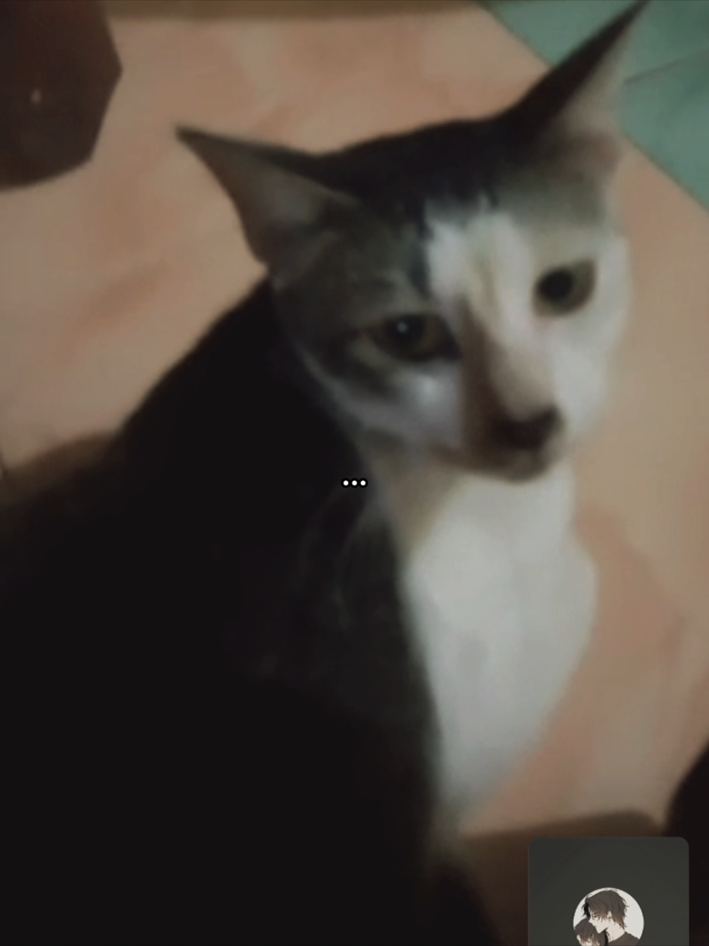 @翔太茜