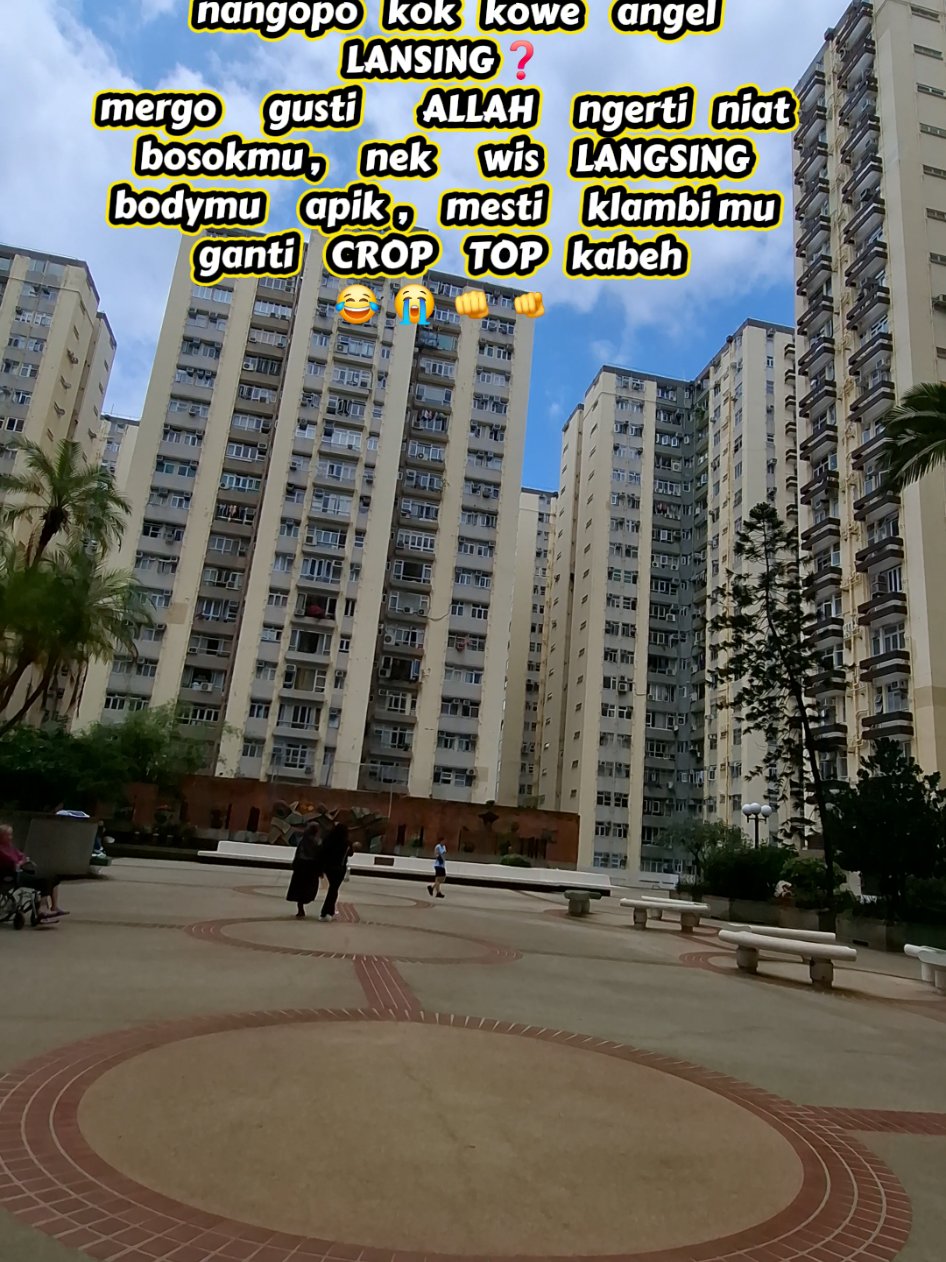 @🇭🇰SAILANFA🇼🇸