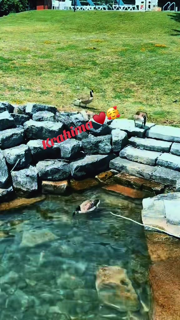 @Krahima 823♥️👑🇺🇸🦋🧕