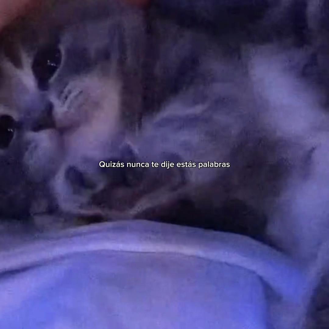 @𝒪𝓳𝓮𝓭𝓪𝓻𝓲𝓸