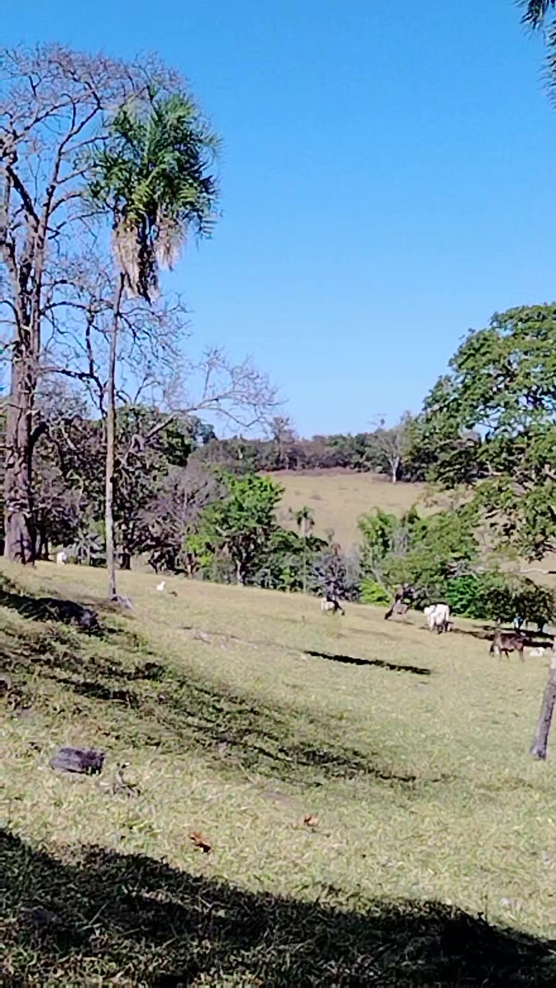 @MENTES BRILHANTES