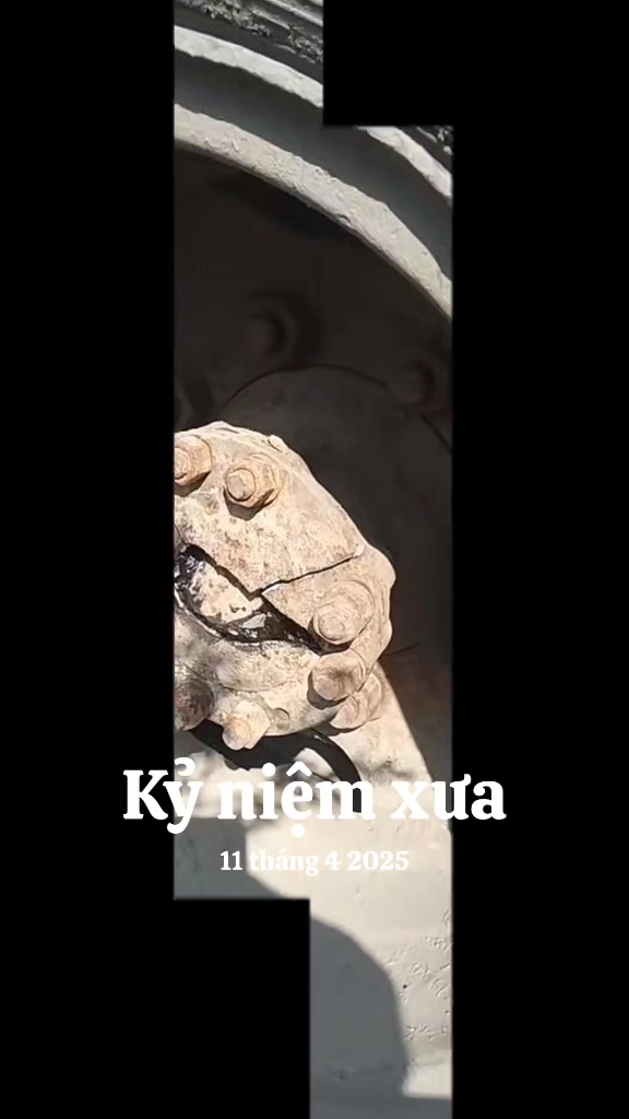 @@Ama &yacute;