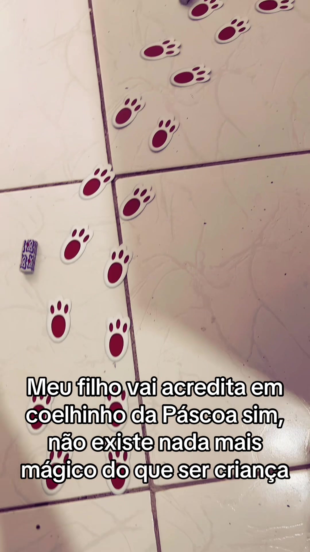 @Carolina Denaro