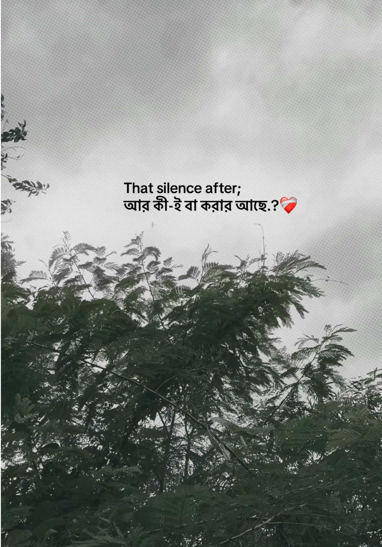@❏ 𝗔𝗙𝗝𝗔𝗟'🐼