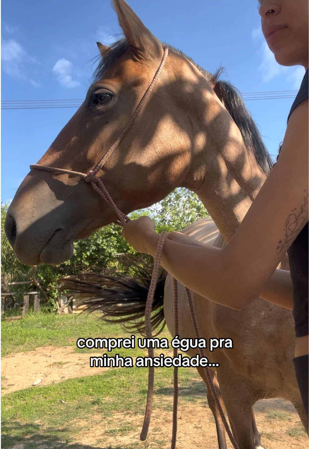 @dudxx