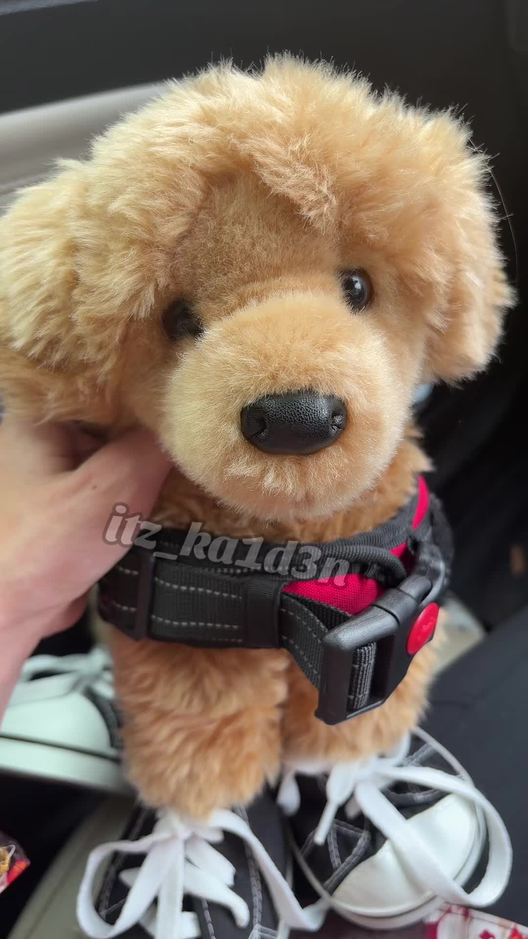 @๊งเผเผบ๐ถ๐๐๐๐๐เผปเผ๊ง