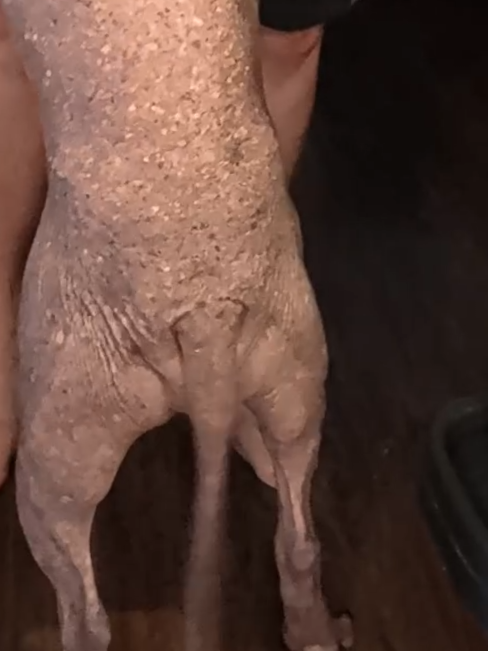 @Alexswaggzillaa