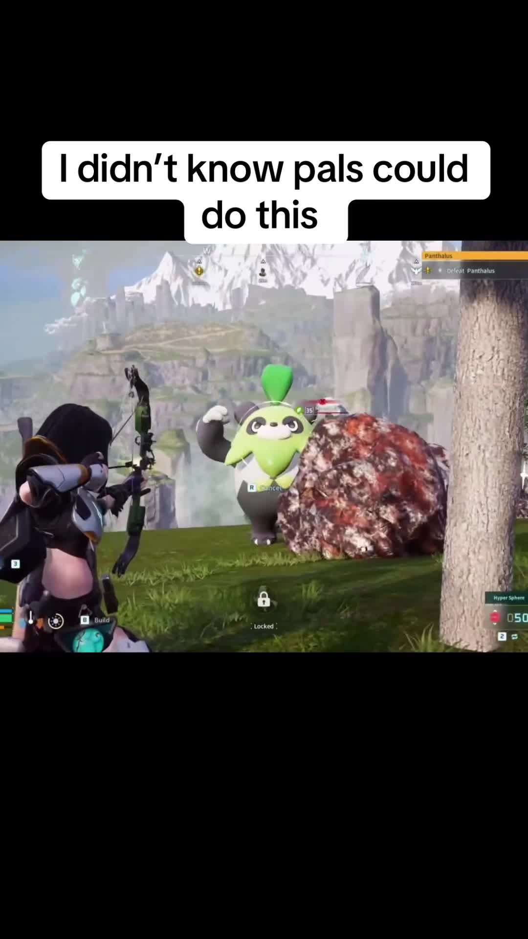 @Shofun