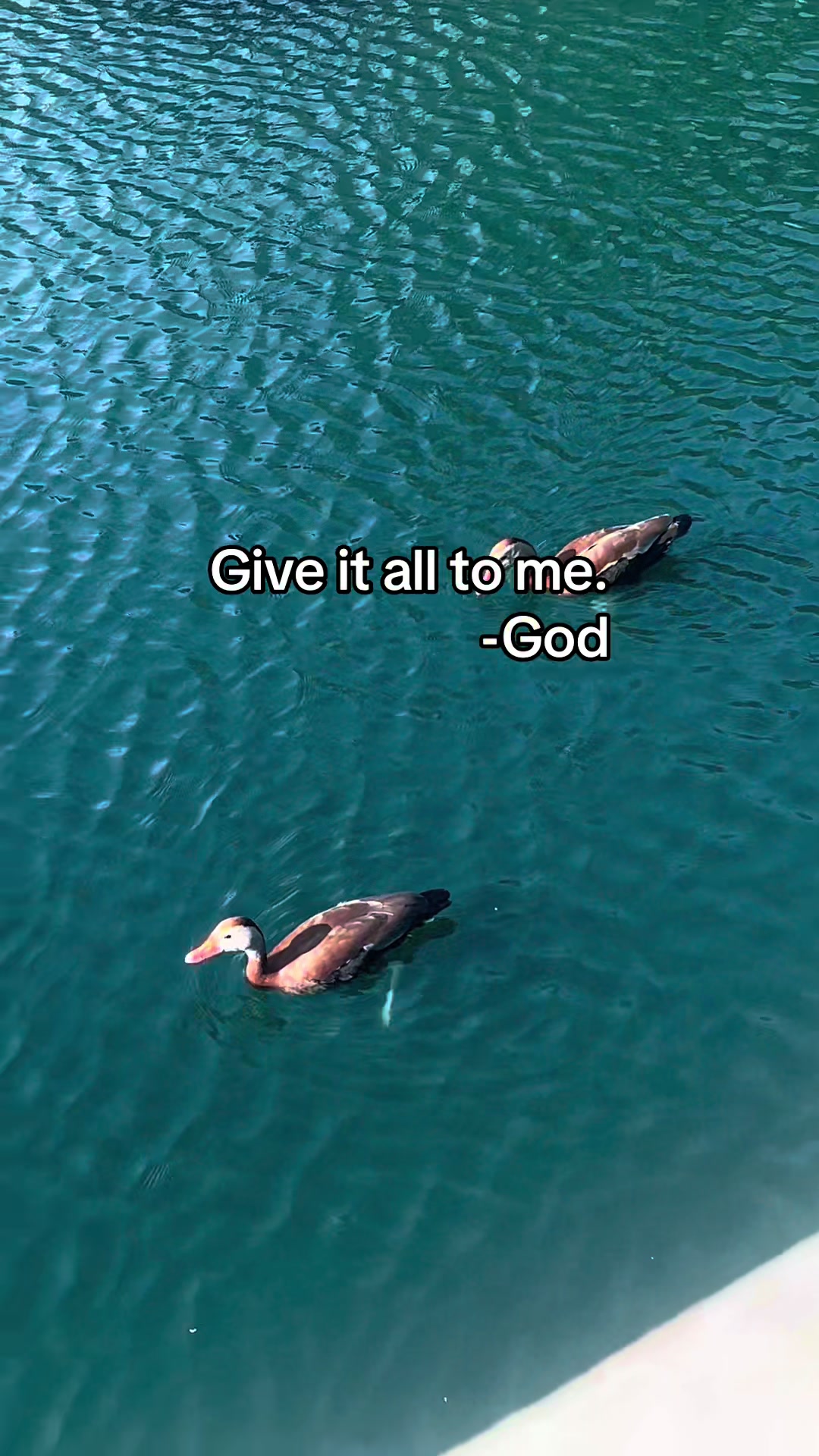 @𝓐𝓷𝓰𝓮𝓵𝓲𝓴🌷