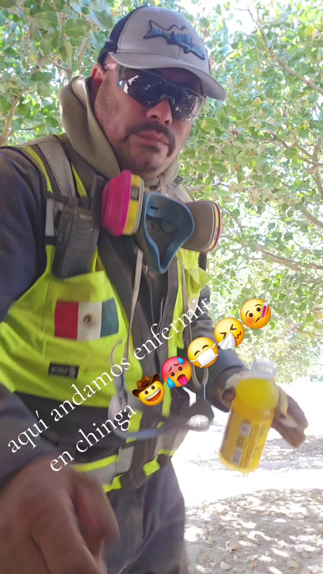 @fulgencio🤠