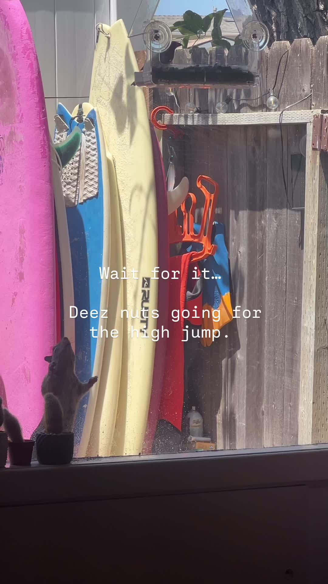 @josephsurfs