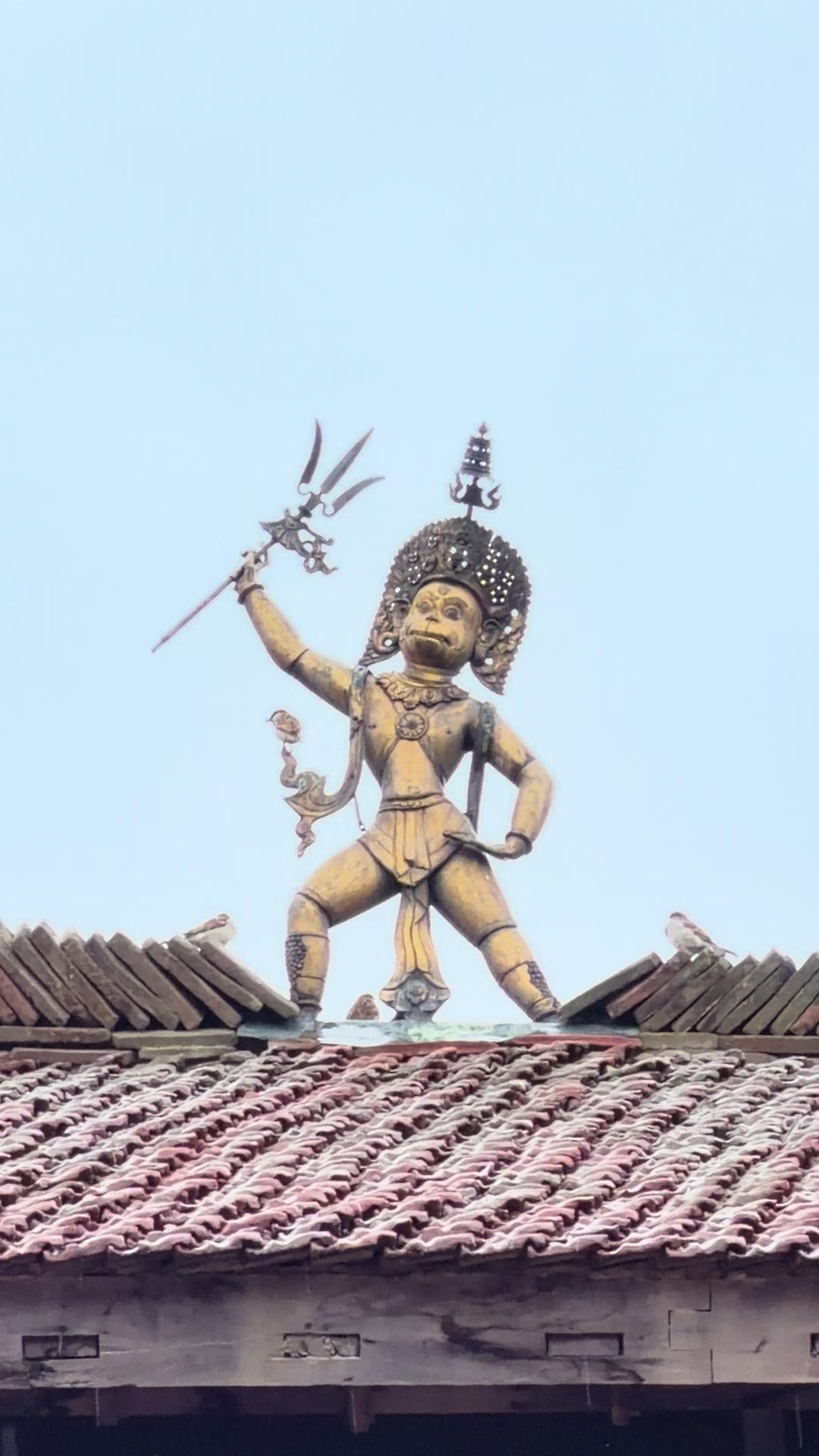 @jatra_fiesta