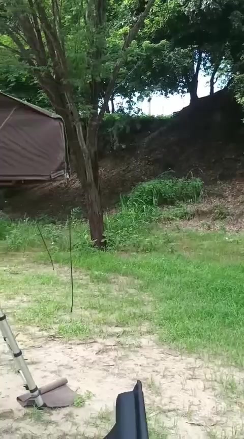 @mjviagensporterra