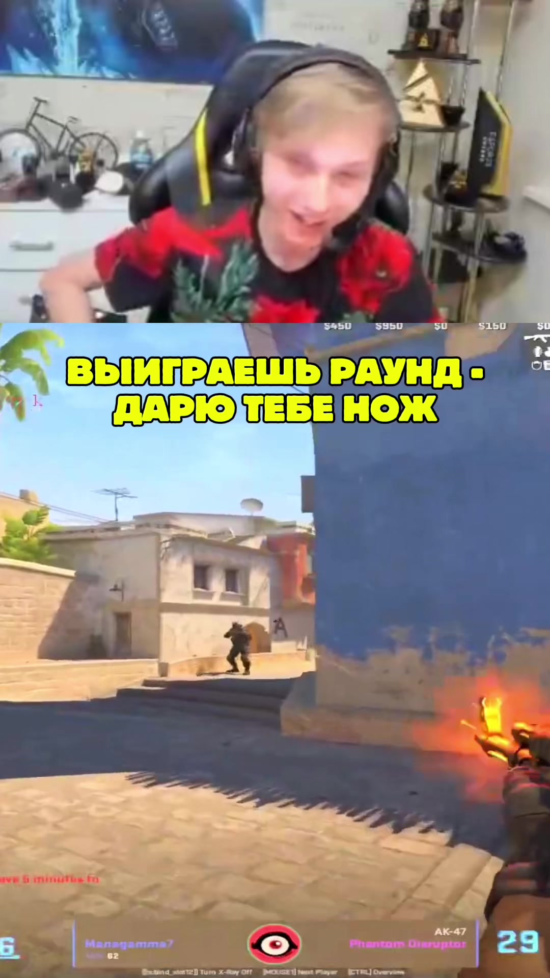 @ЧаХлео Твич