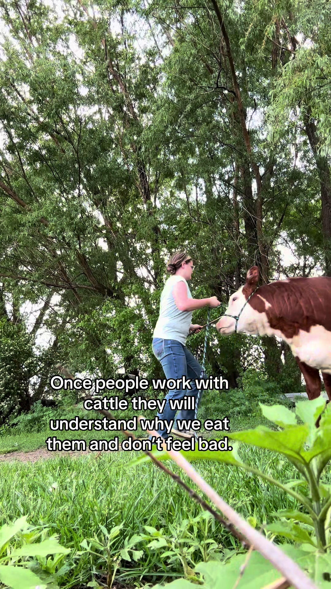 @Sylvia🐄