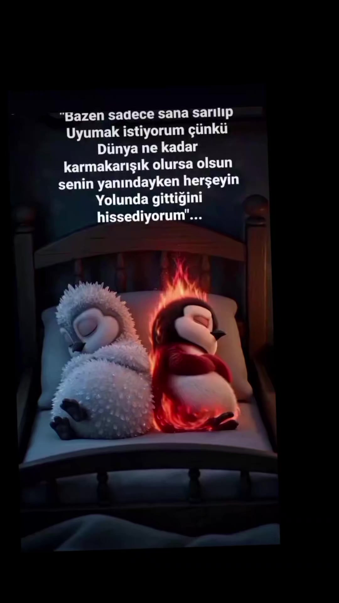 @FATİH ZEYNEP AŞKIN NİAGARAM