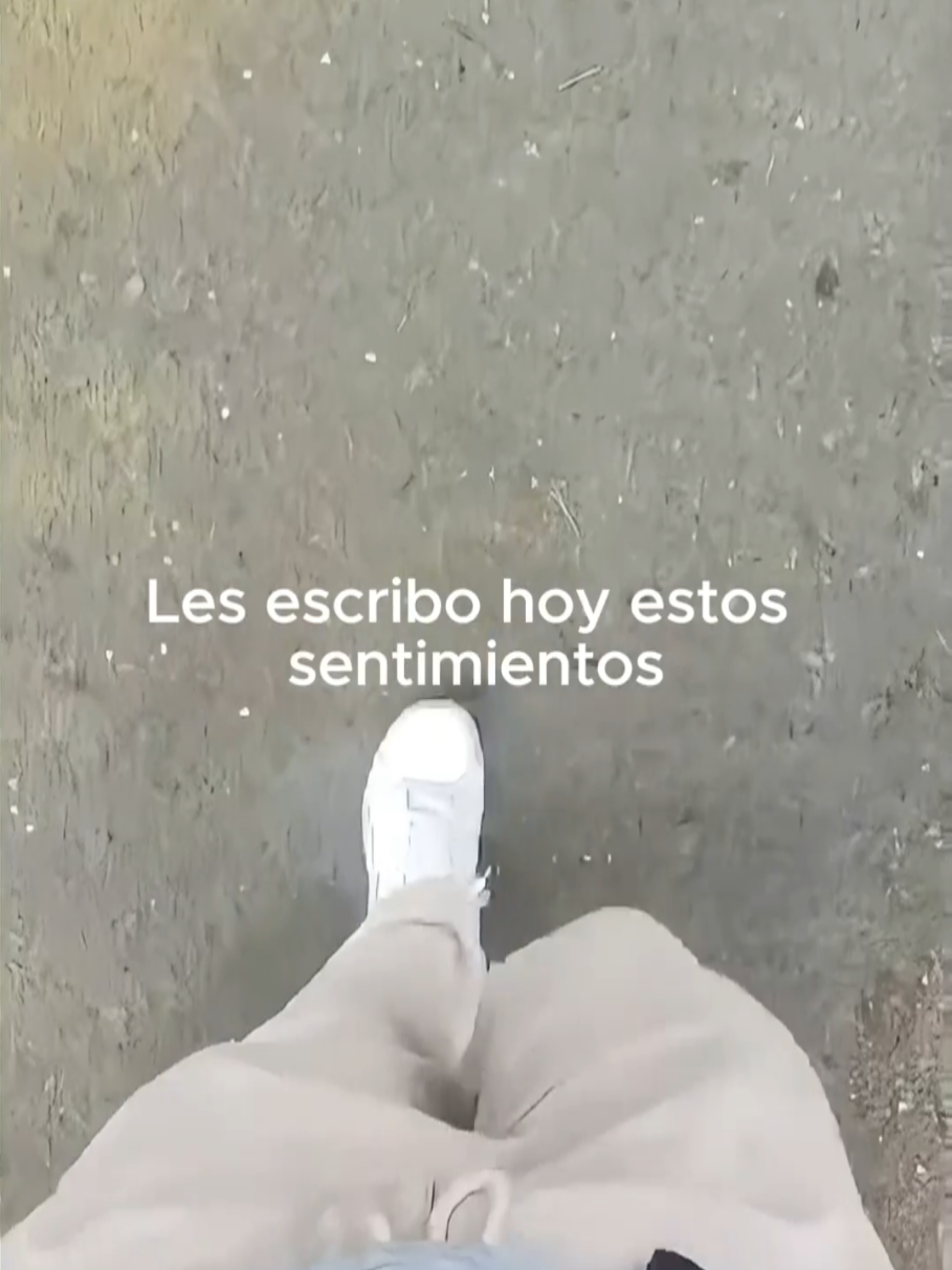@Tamauta