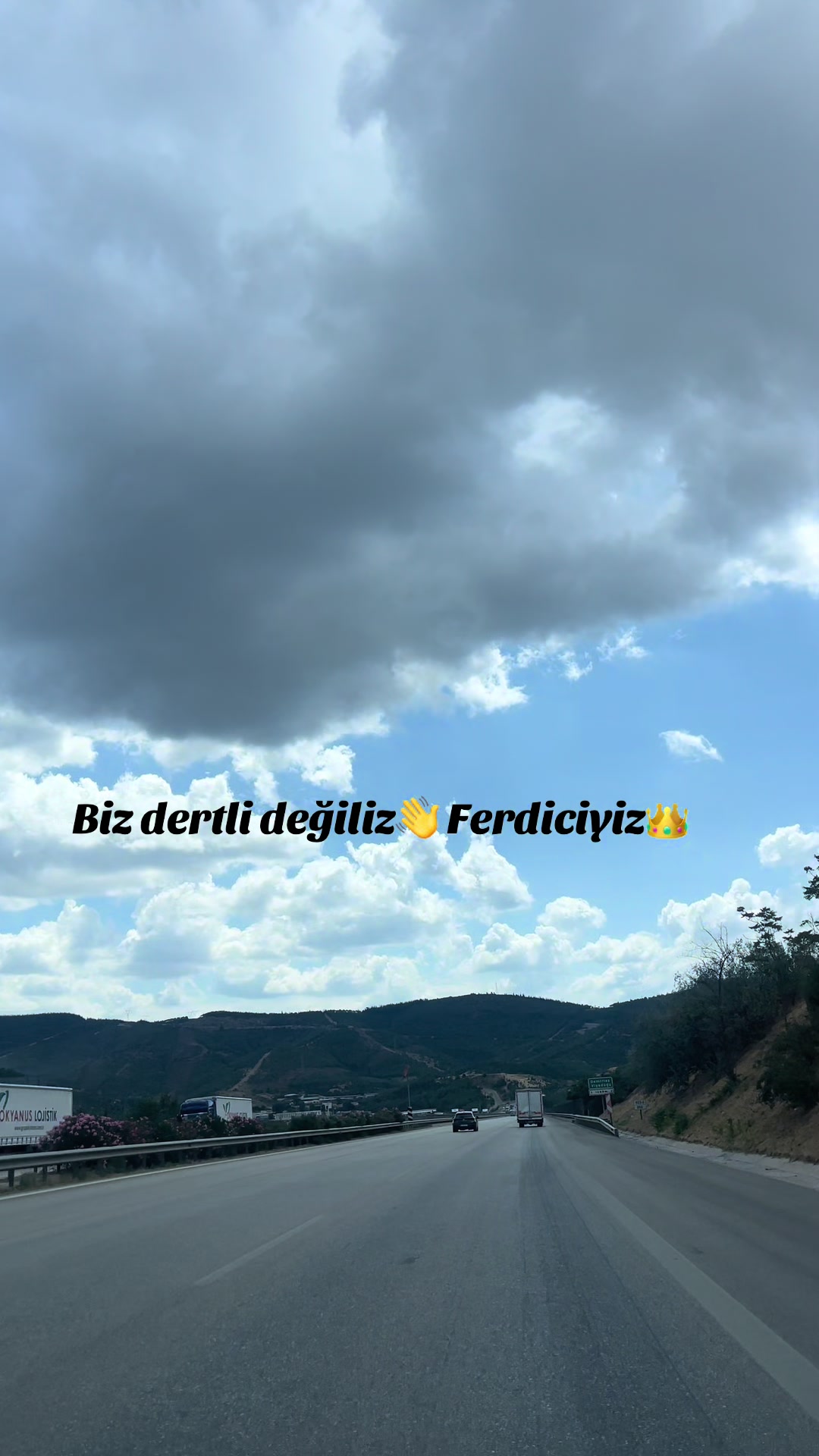 @reis_83_16