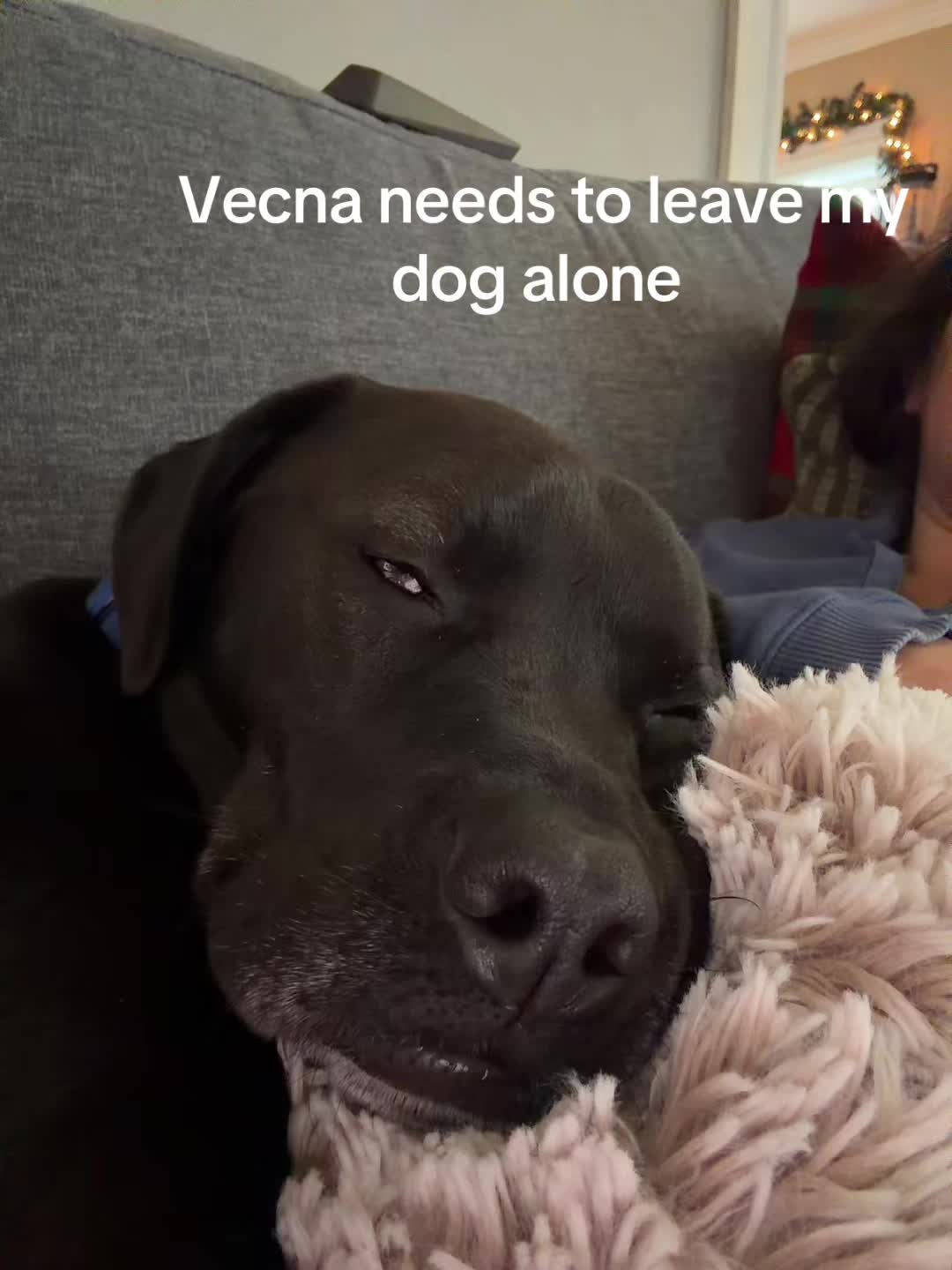 @Unicorncake