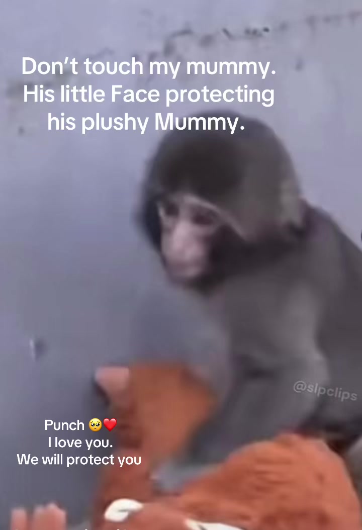@Michel 🌹