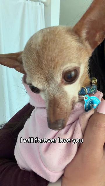 @lexi 🌷