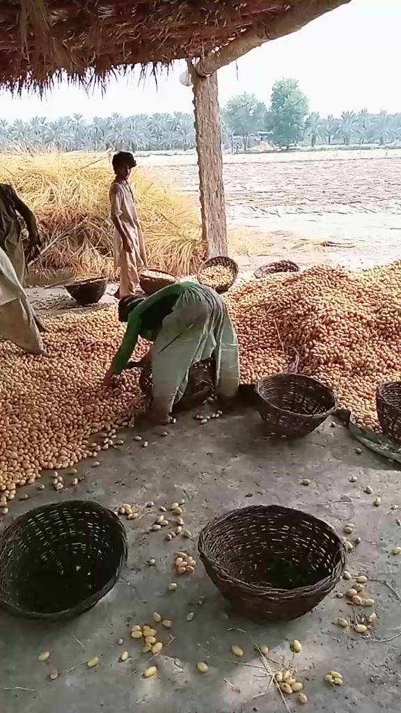 @Irshad Hussain