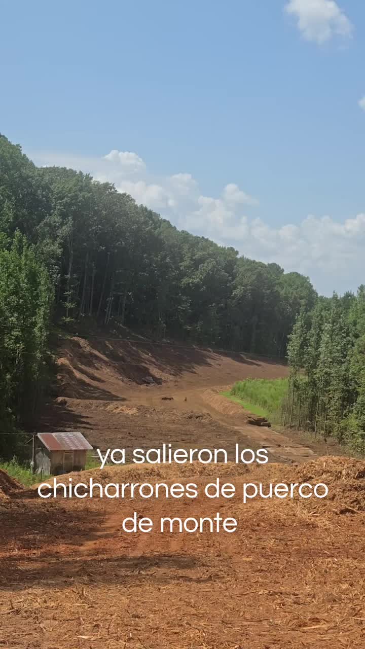 @Alexander menjivar
