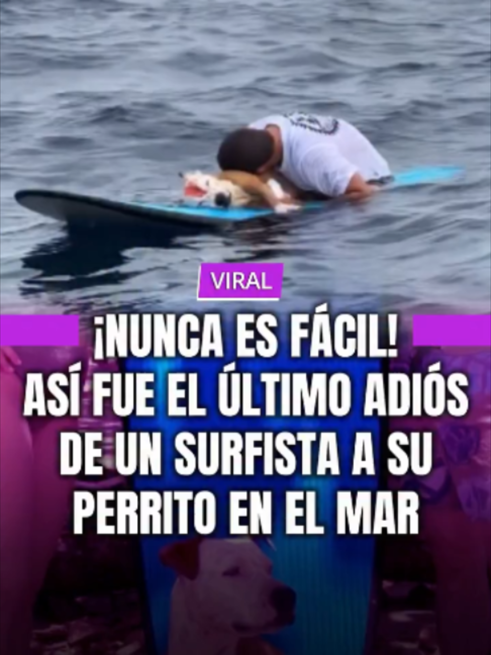 @MINUTO30