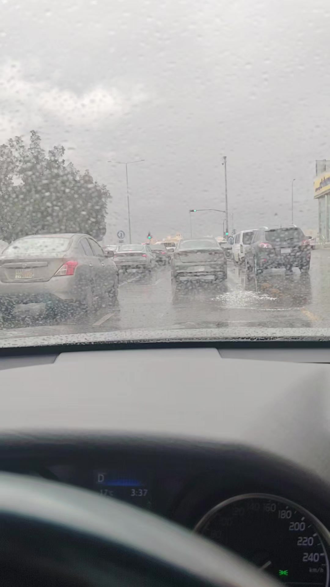 @شاه يوسف علي