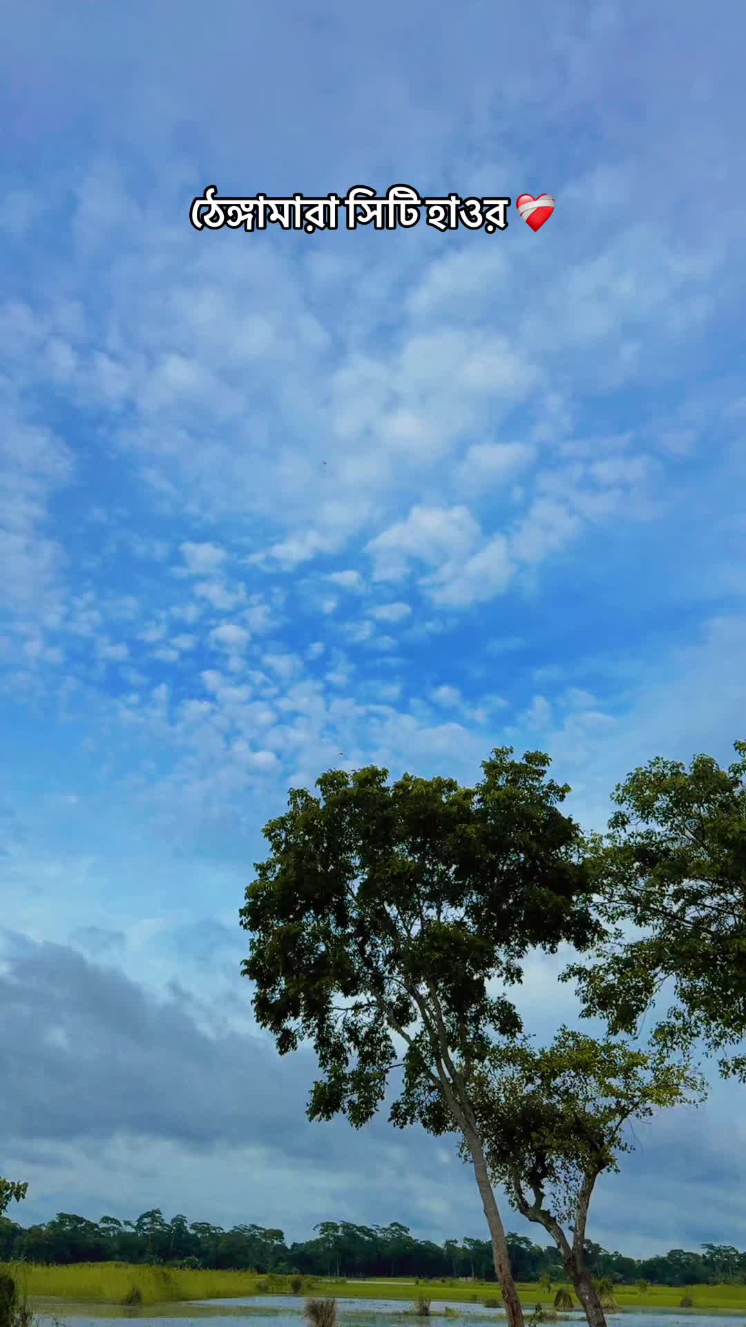 @SP SHIFAT&zwj;