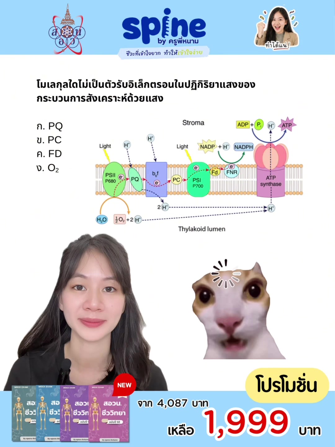 @Biospine by ครูหนาม