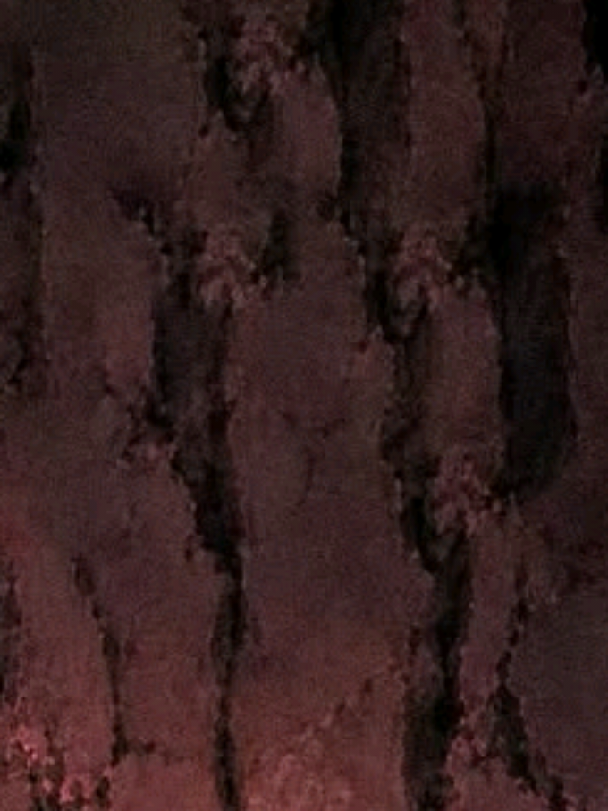 @𝙱𝙸𝙰 𖦤