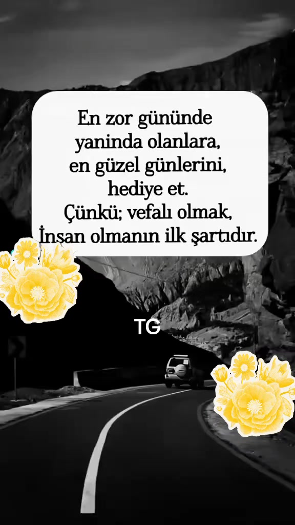 @Talip Ezman